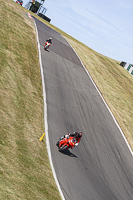 Middle Group Red Bikes